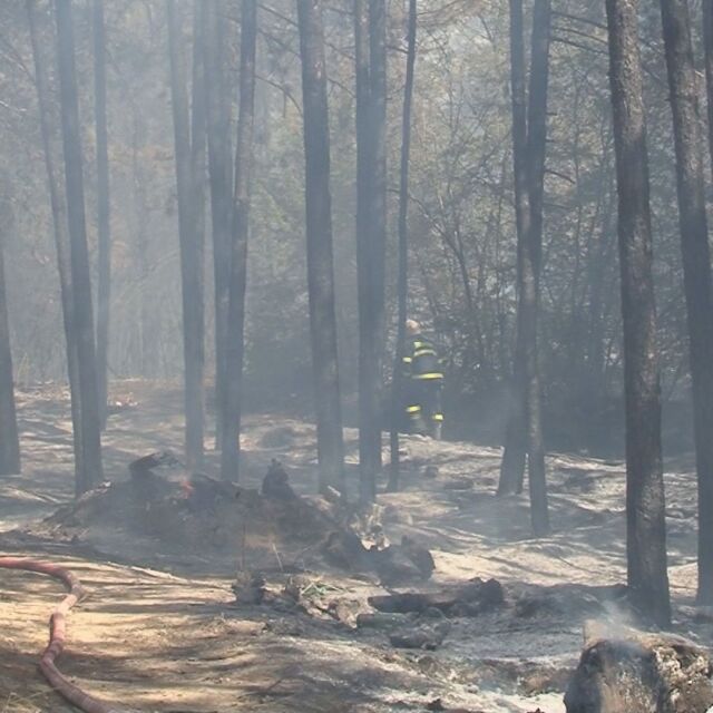 Голям пожар край Варна (СНИМКИ)