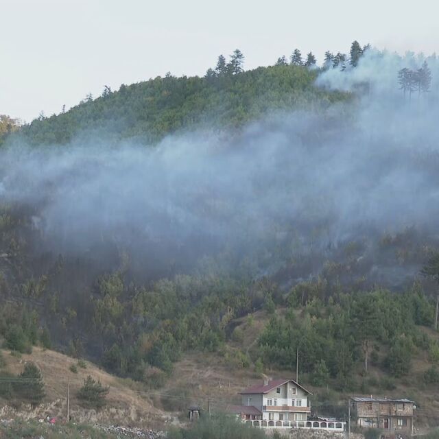 Пожар горя в 60 декара иглолистна гора край Велинград