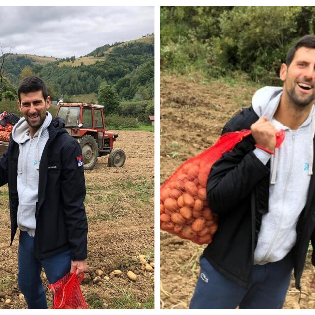 Новак Джокович доказва, че е обикновен човек като всички нас - помогна на сънародници да извадят картофите
