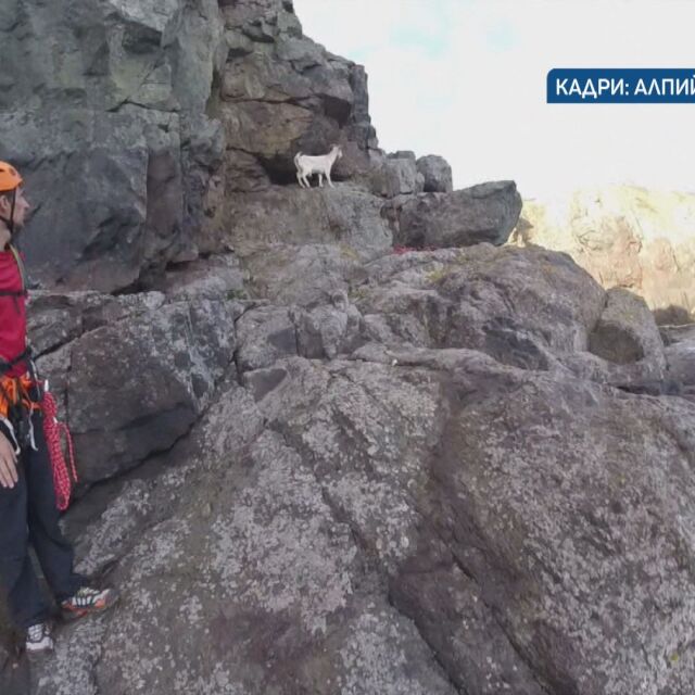  Спасителна акция край 