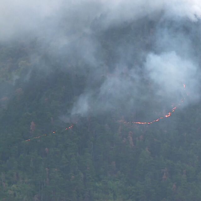 Овладяха горския пожар над Карлово
