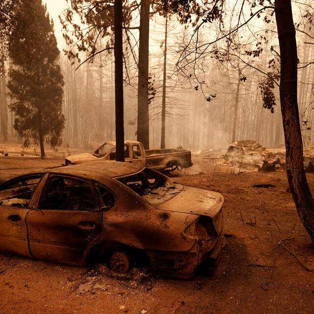 Огнен Армагедон: Цели градове в САЩ потънаха в мрак заради горските пожари (ВИДЕО)