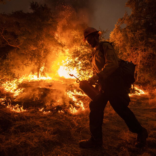 Горски пожари в САЩ: 33-ма души загинаха, хиляди са евакуирани 