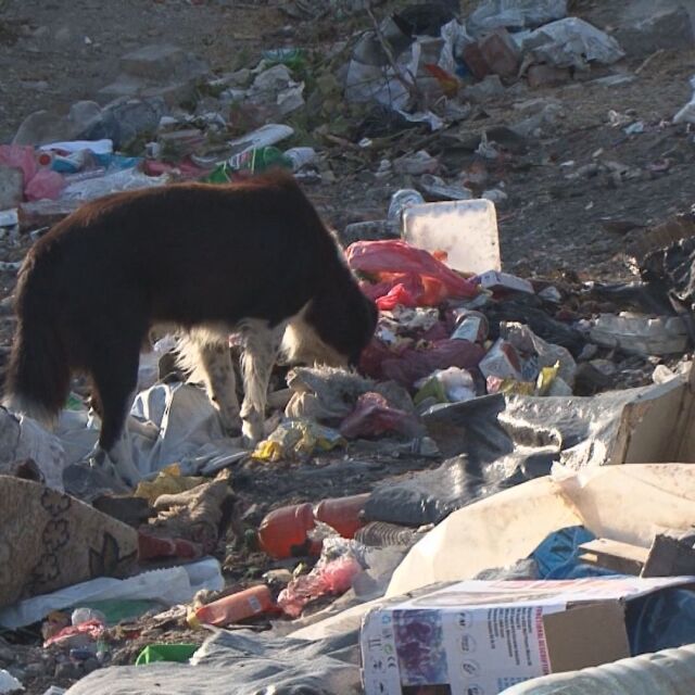 Незаконно сметище в бургаски квартал: Кой трябва да почисти тоновете боклуци?