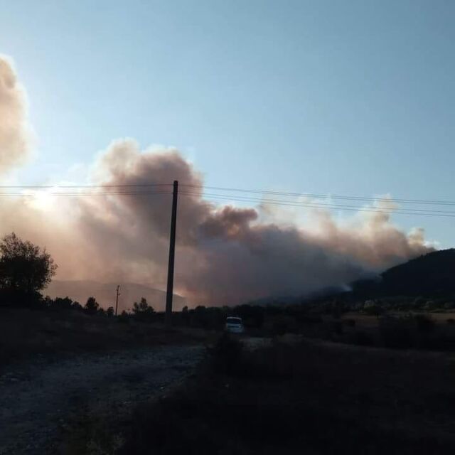Горски пожар гори в община Кирково