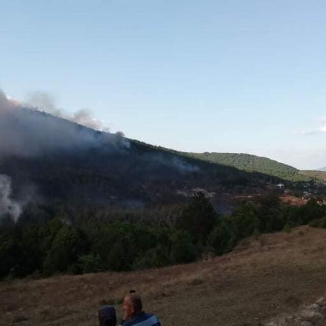 Над 50 души гасят големия горски пожар в община Кирково