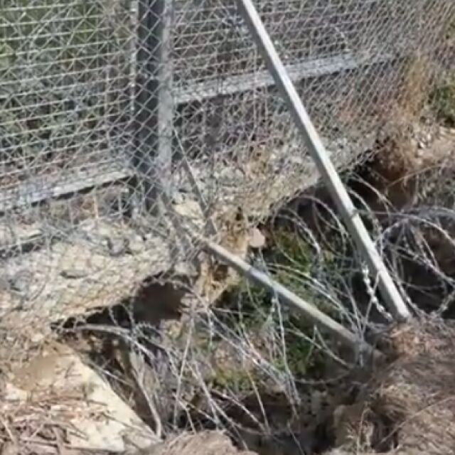 МВР показа дупките в оградата по границата (ВИДЕО)
