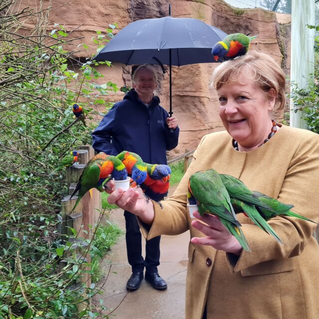 Кадър на Меркел, "нападната" от папагал, обиколи социалните мрежи (СНИМКА)