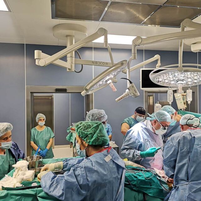 Специалистите от ВМА с трета трансплантация на черен дроб за годината