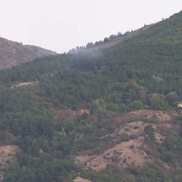 25 декара иглолистна гора гори над Карлово