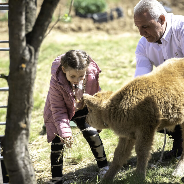 Внучката на Христо Стоичков разгледа Фермата и разчувства всички