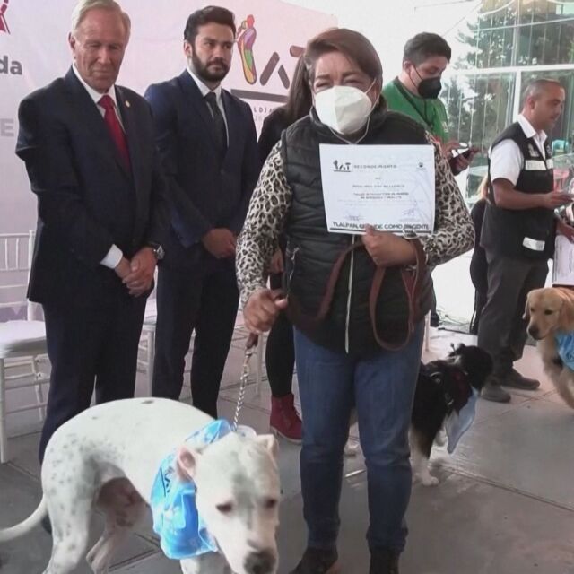 Награда за кучета, спасили хора при земетресения
