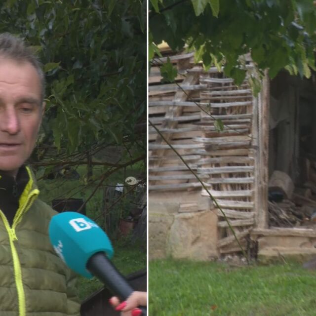 Младежи опитаха да откраднат дървата на семейство в Пернишко, водили и купувач