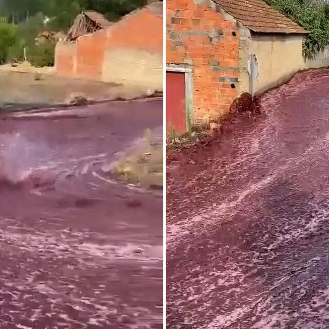 600 000 галона червено вино потекоха през малък град след разлив (ВИДЕО)