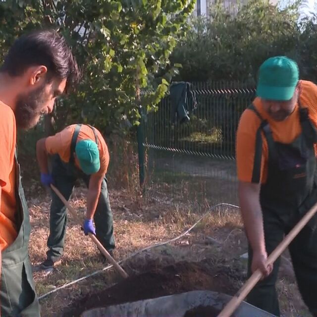 „Да изчистим България заедно“: Осем дървета ще бъдат засадени пред сградата на bTV