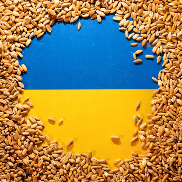 Заради зърното: Полша обяви, че вече няма да доставя оръжия на Украйна
