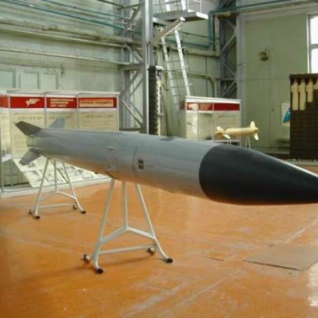 Управляващите и ДПС предлагат да дадем зенитно-управляеми ракети и боеприпаси на Украйна