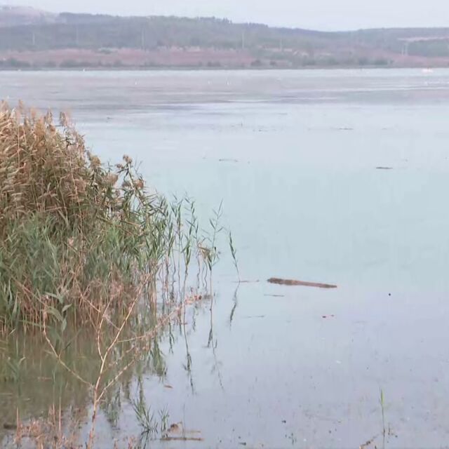 В опит да се скрият: Мигранти и каналджии затънаха в езеро в Бургаско