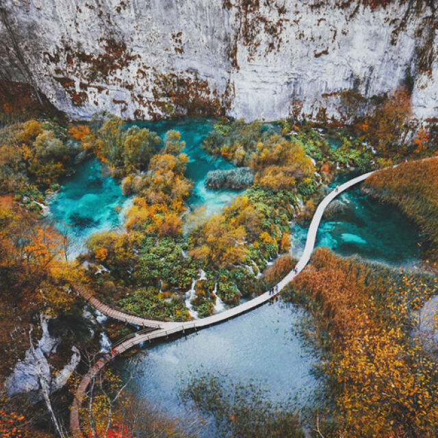  Мечка атакува мъж в хърватския народен парк 