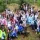 Десетки доброволци, лица на bTV Media Group и служители на ЕК в България помогнаха за засаждането на над 300 дървета