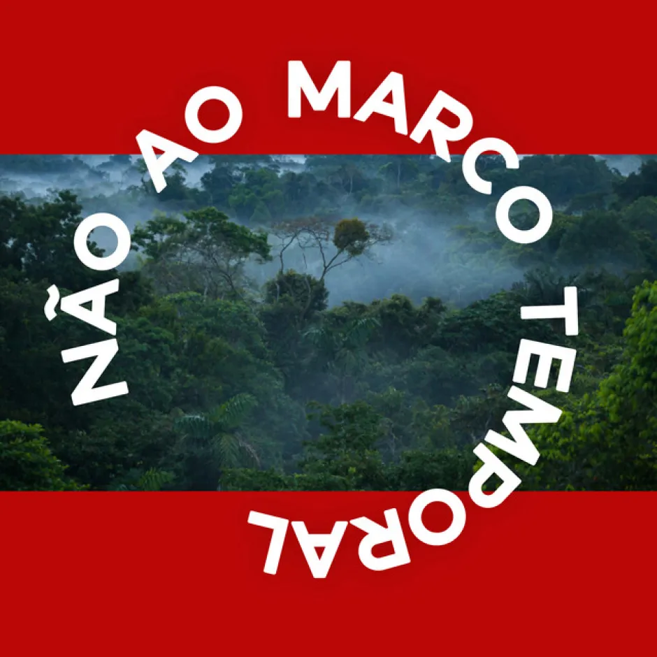 Есперанца Спалдинг записа песен с бразилски артисти в подкрепа на правата на коренните жители и в защита на Амазонската екваториална гора