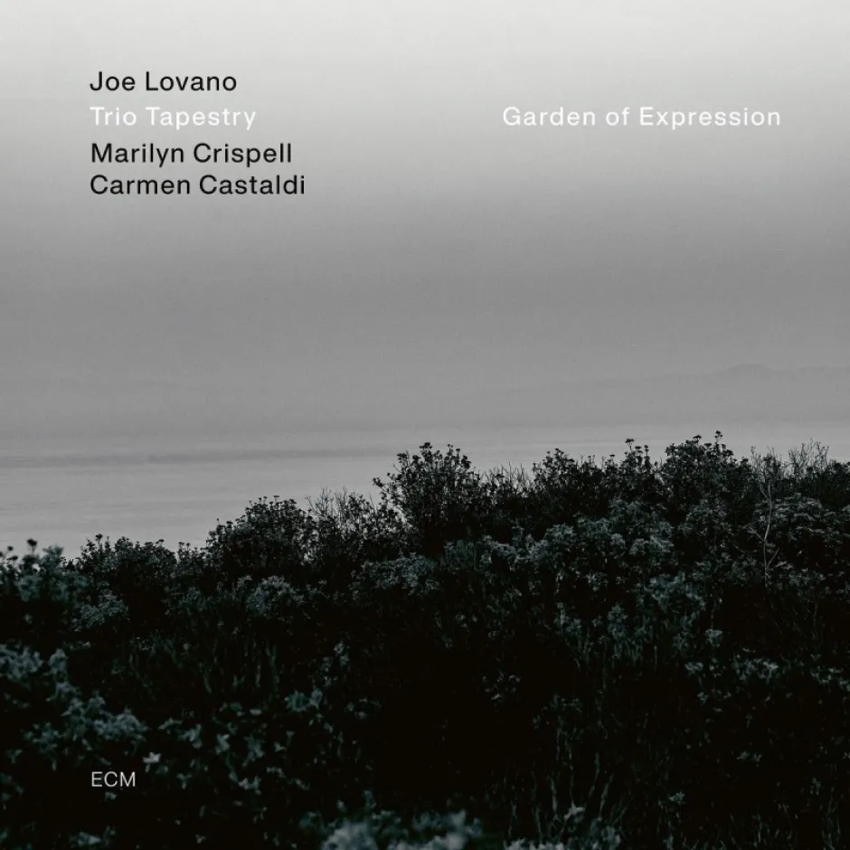Музика и тишина в Garden of Expression - новия албум на триото на Джо Ловано Tapestry