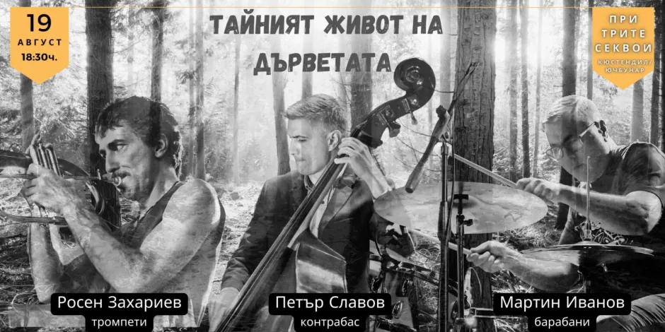 Джаз триото на Мартин Иванов, Петър Славов и Росен Захариев с магичен концерт сред природата, вдъхновен от книгата „Тайният живот на дърветата“ 
