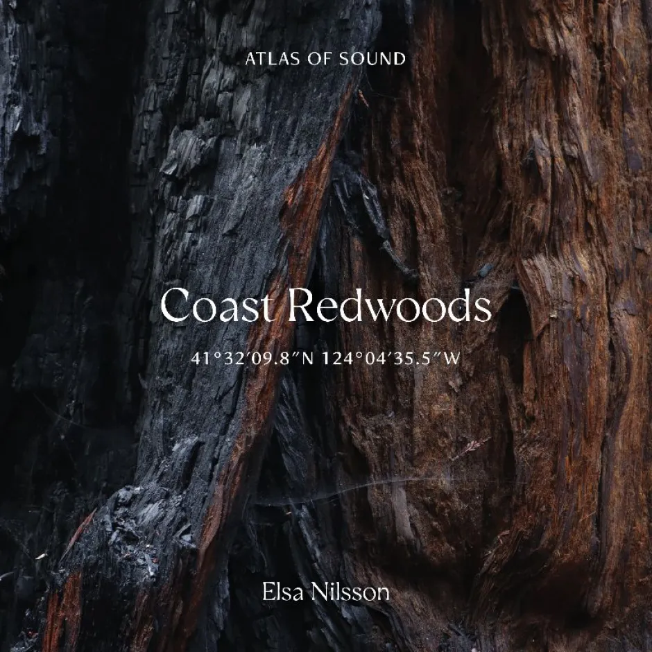 В „Зелената седмица“ по Jazz FM: флейтистката Елса Нилсон изследва в дълбочина взаимоотношенията на човека с природата в албума си Coast Redwoods 41°32’09.8”N 124°04’35.5”W