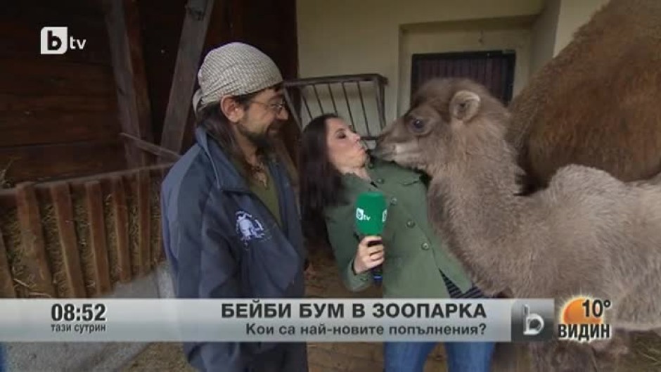 Бейби бум в зоопарка в София