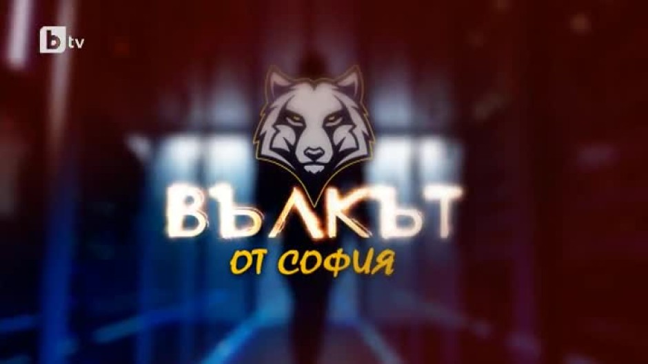 bTV Репортерите: Вълкът от София