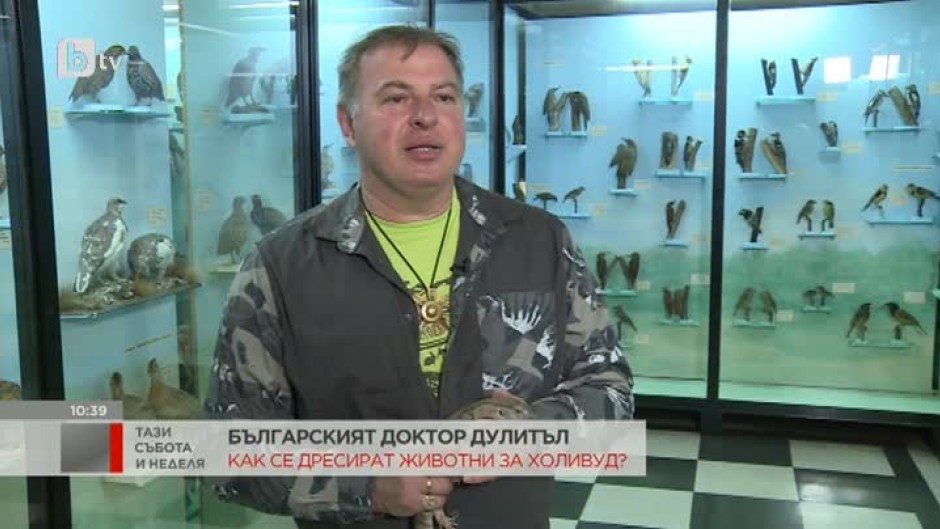 Зоологът Стоян Лазаров: Най-трудните животни за участие във филмови продукции са котките