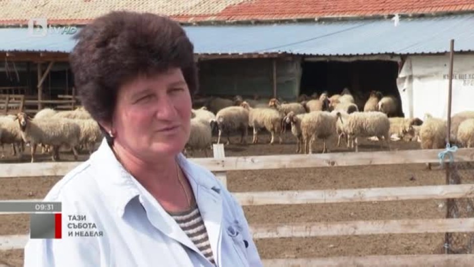 Десетки хора помогнаха на фермери да възстановят стадото си