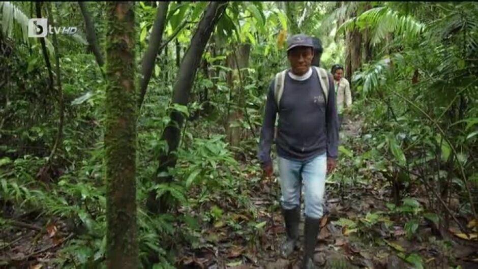 Без багаж: Тропическите гори на Амазонка (2 част) - 16.04.2023