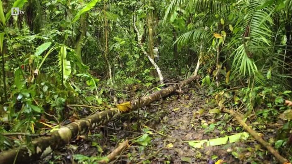 Без багаж: Джунглата на Амазонка (2 част) - 23.04.2023