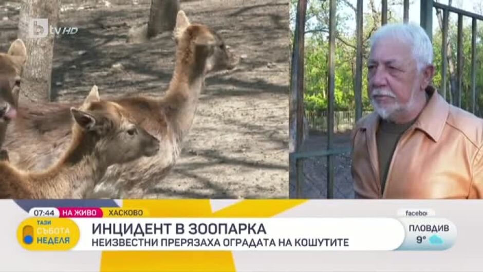 Неизвестни прерязаха оградата на кошутите в в зоологическата градина в Хасково