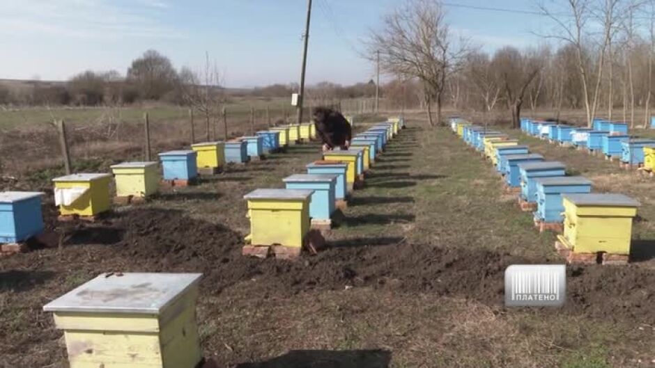 Здравко Аврамов успява да възроди пчеларството в региона на Ямбол