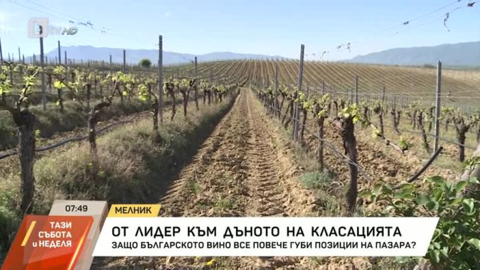 Защо българското вино все повече губи позиции на пазара?