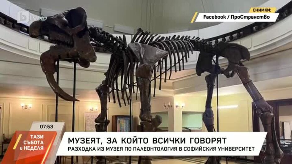 Разходка из Музея по палеонтология в Софийския университет