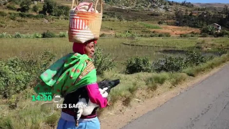 "Без багаж" в дивата природа на Мадагаскар в неделя от 14ч по bTV