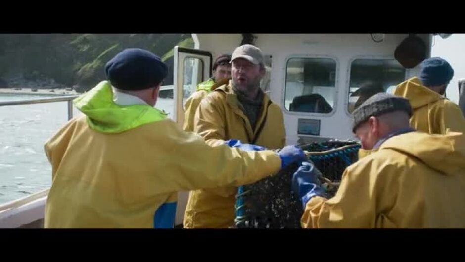 "Fisherman's friends" тази вечер по bTV Cinema