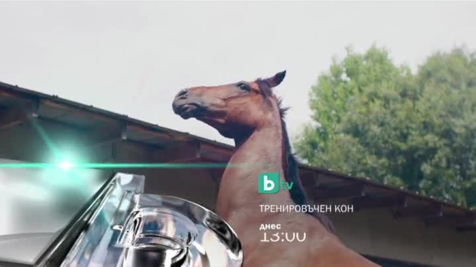 Гледайте днес от 13 ч. "Тренировъчен кон" само по bTV