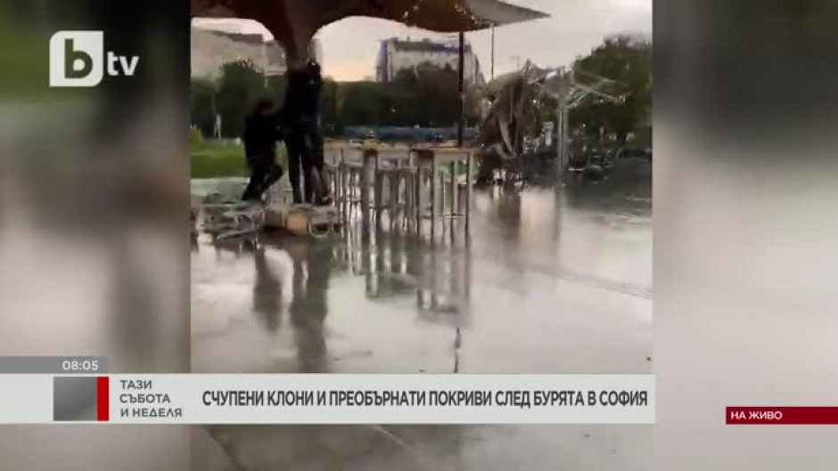 Десетки сигнали за паднали клони и разрушени покриви след лятната буря в София