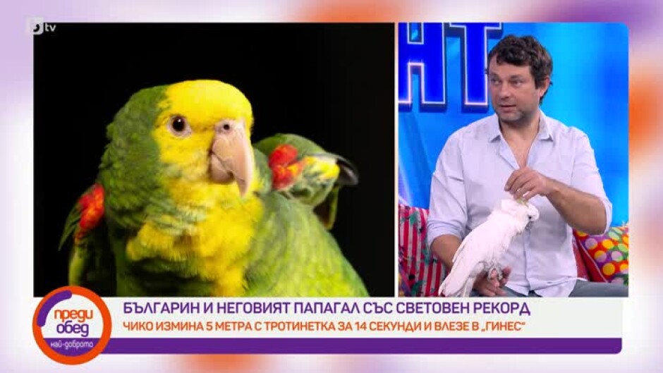 Световен рекорд за българин и неговия папагал