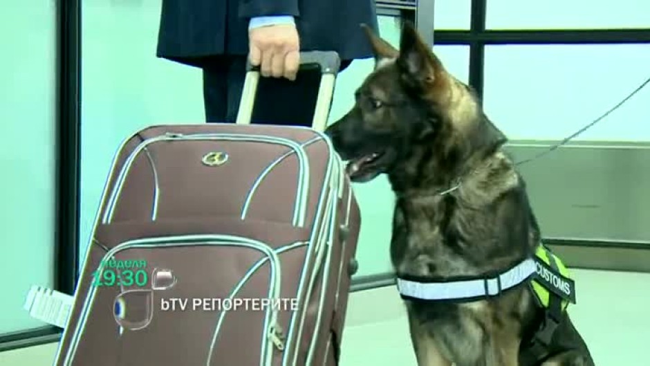 Тази неделя в "bTV Репортерите": Кучета под пагон