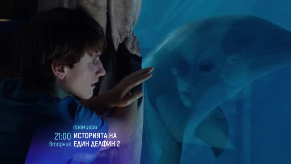 Премиера: Историята на един делфин 2  - вторник от 21 часа по bTV Cinema