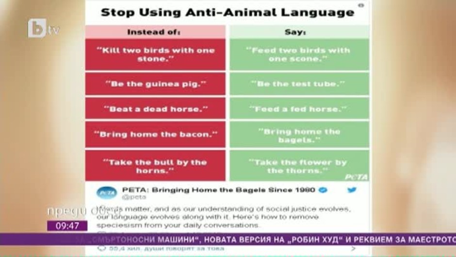 Днес всички говорят за... забраната за използване на расистки изрази и думи, които обиждат животните