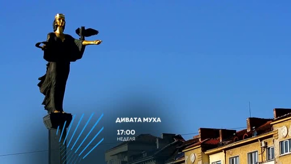 "Дивата муха" обикаля столицата - тази неделя от 17 часа по bTV Action