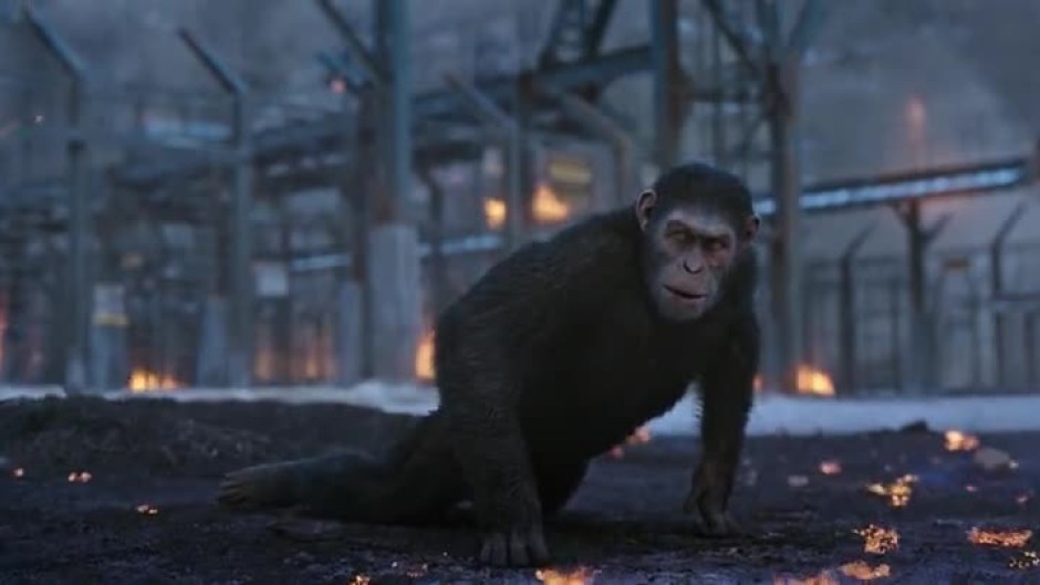 Гледайте тази вечер от 22 ч. филма "Войната за планетата на маймуните" по bTV