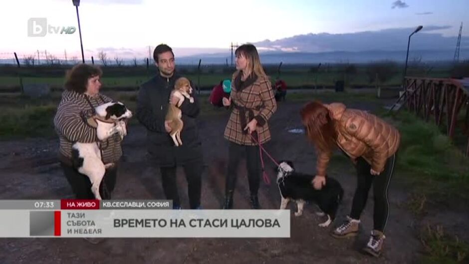 Всяка събота и неделя в приюта в Сеславци доброволци разхождат бездомните кученца
