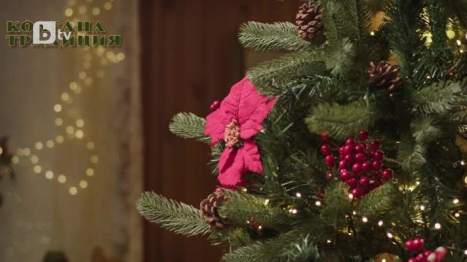 Още от "Вкусът на България": Традициите на Коледа